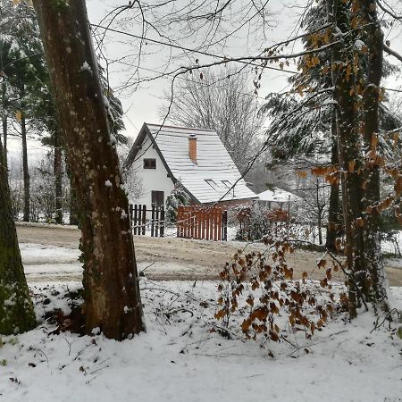 Vila Carobna Suma *** Karlovac Exteriér fotografie