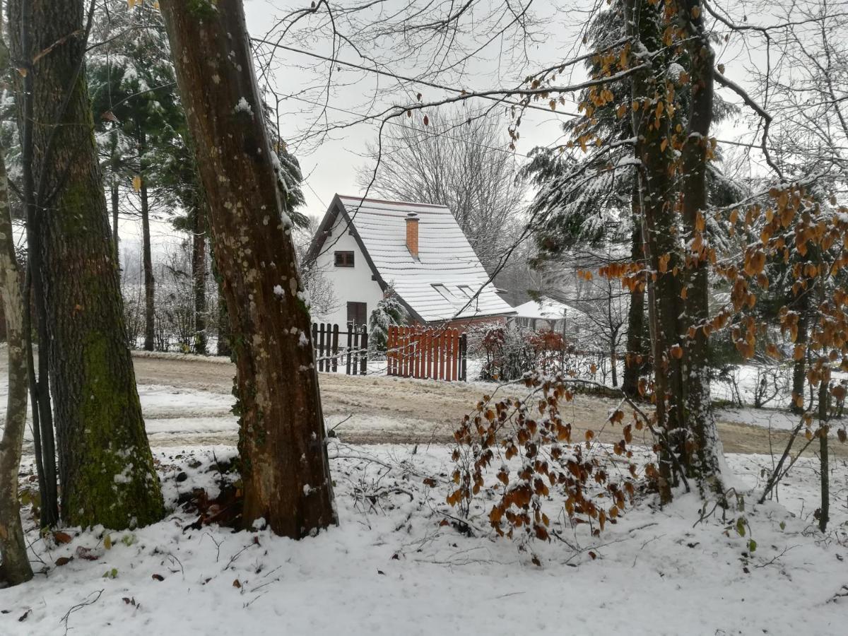 Vila Carobna Suma *** Karlovac Exteriér fotografie